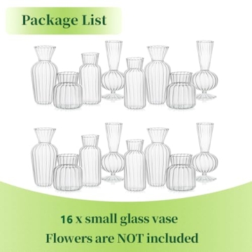 Mini Glass Vases for Elegant Home Decor and Gifts