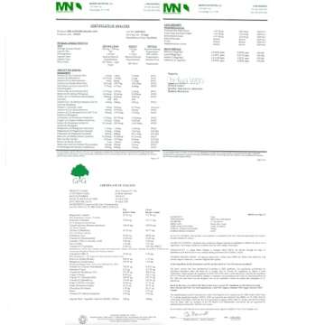 Dr Brad Stanfield Daily Low Dose MultiVitamin & Mineral for Men & Women to Support Cognitive Performance & Memory + Hyaluronic Acid for Skin Health + TMG for Exercise (150 Count)