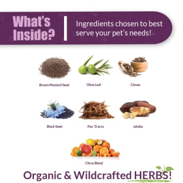 Buy Amber NaturalZ Vibactra Plus for Immune Health Support