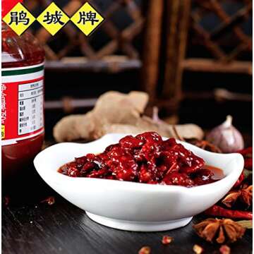 Sichuan Pixian Broad Bean Paste with Red Chili Oil - 17.6 oz (500g) | Hong You Dou Ban
