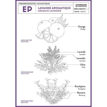 Luxurious Compagnie de Provence Lavender Liquid Soap 10 Fl Oz