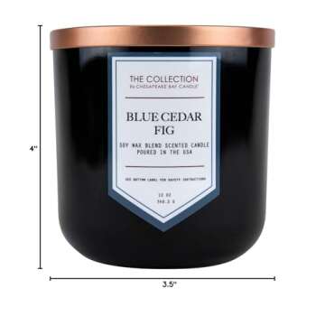 Chesapeake Bay Candle Blue Cedar Fig 2-Wick Scented Candle