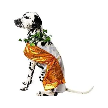 Adorable Midlee Toga Dog Halloween Costume - Medium Size