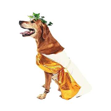 Adorable Midlee Toga Dog Halloween Costume - Medium Size