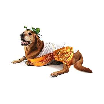 Adorable Midlee Toga Dog Halloween Costume - Medium Size