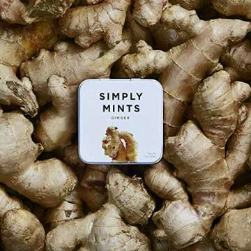 Simply Mints | Ginger Breath Mints | Pack of Six (180 Pieces Total) | Made With Real Ginger + Good for Nausea + Aspartame-Free + Vegan + non-GMO