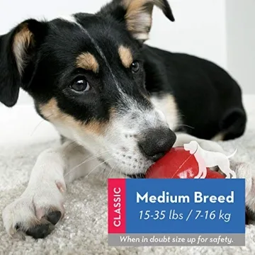 KONG Classic Stuffable Dog Toy for Medium Breeds