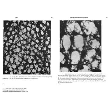 R. Buckminster Fuller: Pattern-Thinking