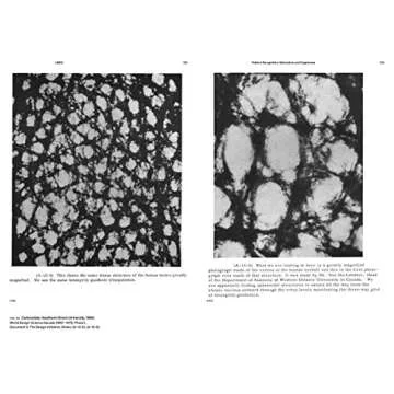 R. Buckminster Fuller: Pattern-Thinking