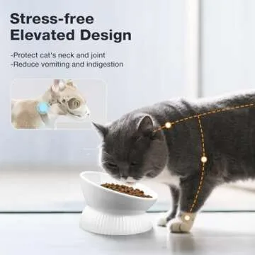 Kopmath Elevated Cat Bowl, Ceramic Tilted Cat Food Bowl, Anti Vomiting, Stress Free on Neck and Spin...