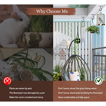 Ceiling Hooks for Hanging Plants 2Pack Indoor Outdoor Use