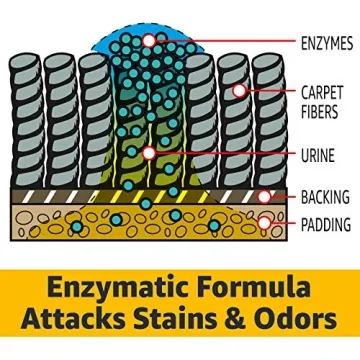 AmazonCommercial Enzyme Cleaner for Pet Odors and Stains