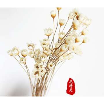 200 Stems Natural Dry Flowers Brazilian Small Star Daisy Decorative Dried Flowers Mini Daisy Chamomile Bouquet for Wedding Floral Arrangements Home Decorations Valentine's Day Gifts (White)