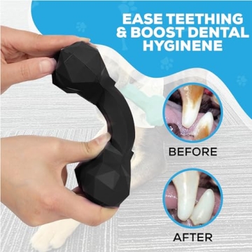 Durable Natural Rubber Dog Toy for Aggressive Chewers