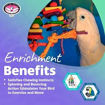 Super Bird Creations - SB440 4 Way Play Bird Toy - Colorful Wooden Blocks, Ringing Bell, and Bird Swing - Perfect Chew Toys for Mini Macaws, Parrots and African Greys - Ideal for Large Birds