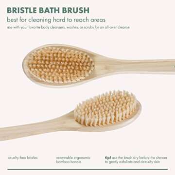 EcoTools Bath Bristle Brush, Bath Brush with Long Handle, Cleanse Back & Hard-to-Reach Areas, Eco Friendly Shower Brush for Exfoliating, Cruelty Free Nylon Bristles, Vegan, 1 Count