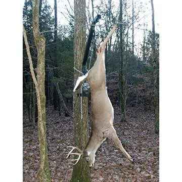 Viking Solutions KwikHoist