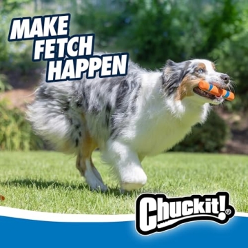 Chuckit! Ultra Fetch Stick - Durable Fetching Toy for Dogs