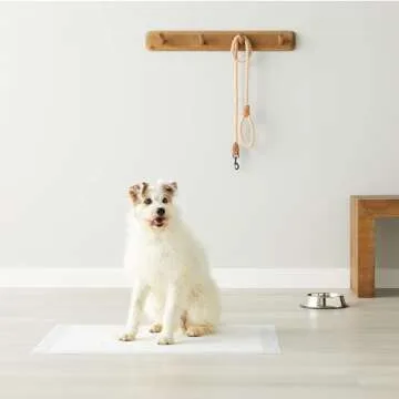 Buy Amazon Basics Puppy Pads - Quick-Dry, Leak-Proof, Extra Large