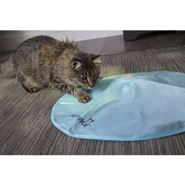 SmartyKat Hot Pursuit Exciting Cat Toy for Playtime