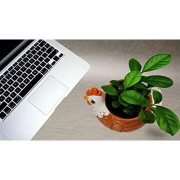 Sixdrop Chicken Planter - Rooster Utensil Holder Party Accessories - Flower Succulent Pot - Indoor Outdoor Garden Backyard Patio Chicken Theme Ceramic