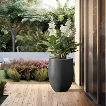 Kante Large Concrete Planter with Drainage for Home & Patio