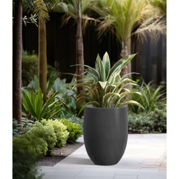 Kante Large Concrete Planter with Drainage for Home & Patio