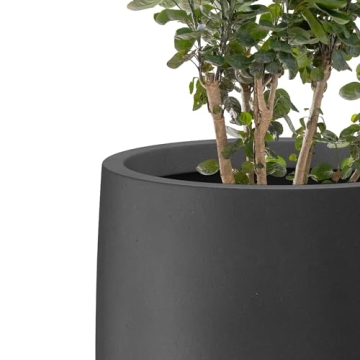 Kante Large Concrete Planter with Drainage for Home & Patio