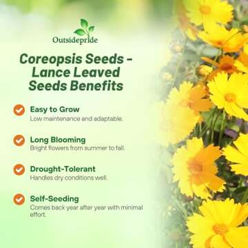 Outsidepride 5 lb. Perennial Lance-leaved Coreopsis Wild Flower Seeds for Planting