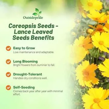 Outsidepride 5 lb. Perennial Lance-leaved Coreopsis Wild Flower Seeds for Planting