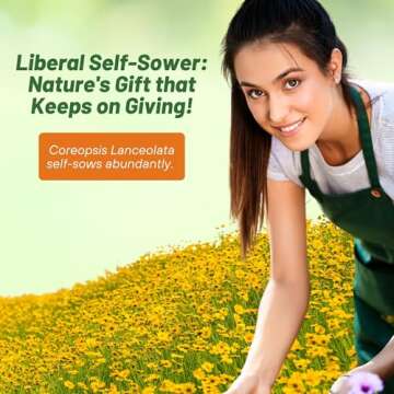 Outsidepride 5 lb. Perennial Lance-leaved Coreopsis Wild Flower Seeds for Planting