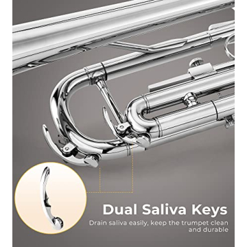 Vangoa Bb Standard Trumpet Brass Silver for Beginners