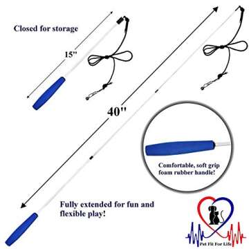 Pet Fit For Life - Retractable Feather Wand for Cats - Durable Interactive Cat Toy, Teaser Fishing P...