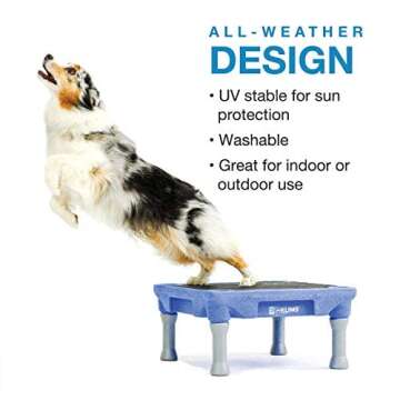 Blue-9 Pet Products KLIMB Traction Mat, Rubber Traction Dog Training Mat for Added Stability