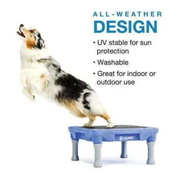 Blue-9 Pet Products KLIMB Traction Mat, Rubber Traction Dog Training Mat for Added Stability