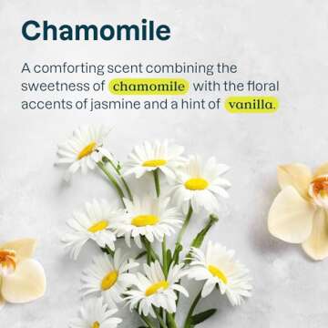 ATTITUDE Baking Soda Free Deodorant for Sensitive Skin