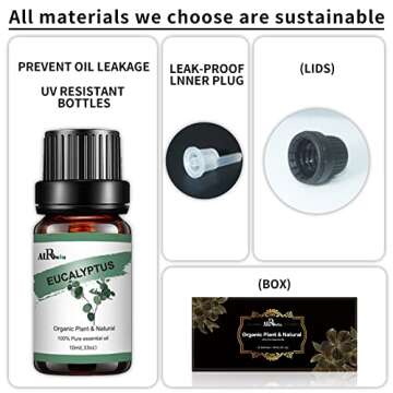 AIROOMOIL Woody Essential Oil Set - Natural Aromatherapy Kit