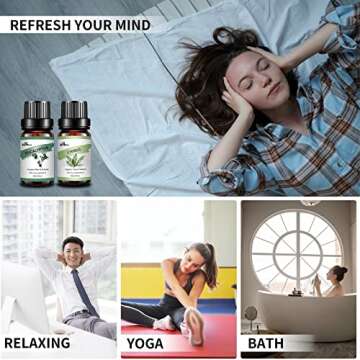 AIROOMOIL Woody Essential Oil Set - Natural Aromatherapy Kit