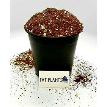Fat Plants San Diego Premium Cacti and Succulent Potting Mix Soil - for Cactus Palm Tree Citrus Plan...