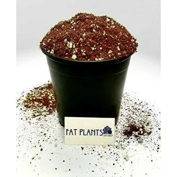 Fat Plants San Diego Premium Cacti and Succulent Potting Mix Soil - for Cactus Palm Tree Citrus Plan...