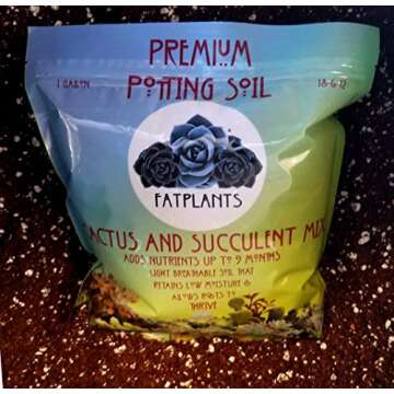 Premium Cacti and Succulent Potting Mix for Thriving Plants
