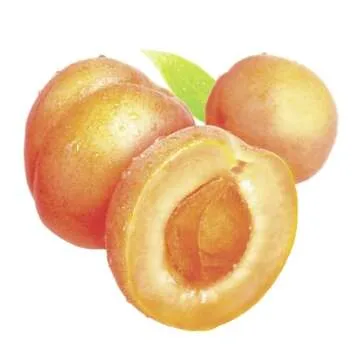 St Ives Gentle Apricot Facial Scrub 150Ml