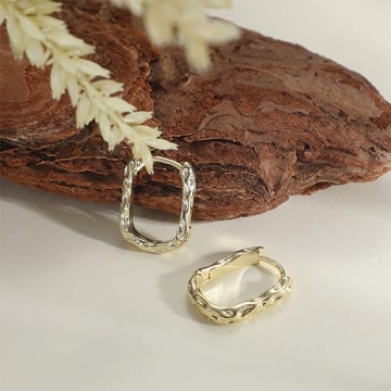 Amicon Gold Hoop Earrings for Women - Trendy & Hypoallergenic