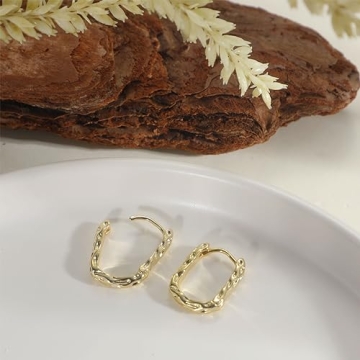 Amicon Gold Hoop Earrings for Women - Trendy & Hypoallergenic