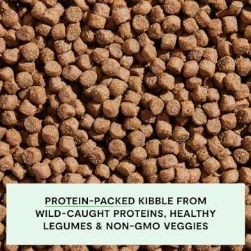 Open Farm, Grain-Free Dry Dog Food, Complete & Balanced Kibble, Sustainably & Ethically Sourced Ingredients, Non-GMO Veggies & Superfoods, Catch-of-The-Season Whitefish Recipe, 11lb Bag