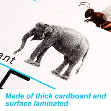 Educational ABC Number Line Wall Decor for Preschool Kindergarten