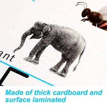 Educational ABC Number Line Wall Decor for Preschool Kindergarten