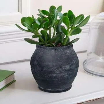 Stylish Briful Large Ceramic Rustic Vase for Home Decor