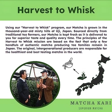 Dr. Weil's Organic Matcha Green Tea Sticks - 24 Pack