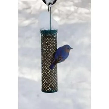 C&S Nugget Feeder 24 Ounces